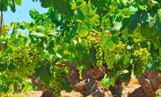 Casa rural en alquiler en Teulada Pueblo en Teulada