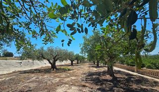 Casa rural en alquiler en Teulada Pueblo en Teulada