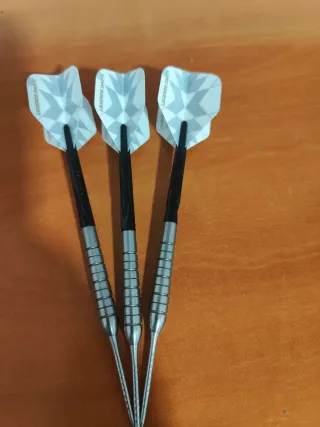 Dardos Legends 21 gramos