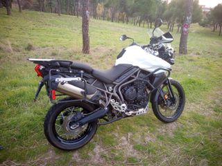 Triumph Tiger 800 XCX