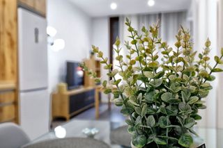 Piso en alquiler en Huerta de la Reina - Trassierra en Córdoba