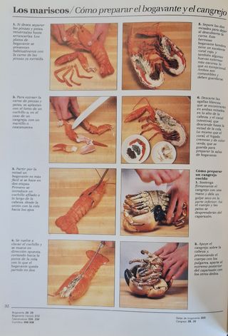 Libro de cocina Terence y Caroline Conran