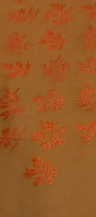 Manton Picó Nuevo Regional