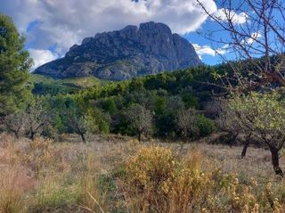 Solar en venta en Finestrat pueblo en Finestrat