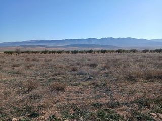 Terreno en venta en Yecla