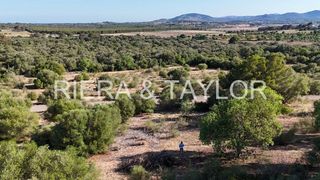 Terreno en venta en Sant Llorenç des Cardassar