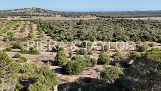 Terreno en venta en Sant Llorenç des Cardassar
