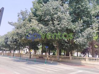 Local comercial en venta en La Hoya-Almendricos-Purias en Lorca