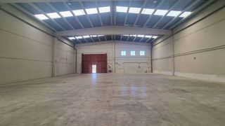 Nave industrial en alquiler en Riudoms