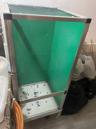 Terrario Malla Pacheco Camaleones