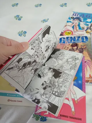 Lote de manga
