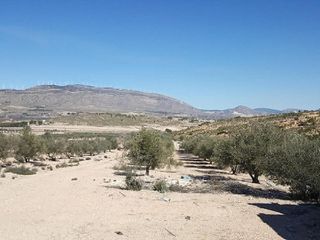 Terreno en venta en Caudete