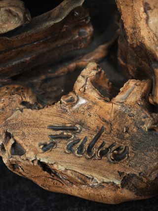 Falvo – Scultura terracotta firmata ‘80