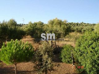 Terreno en venta en Ubrique