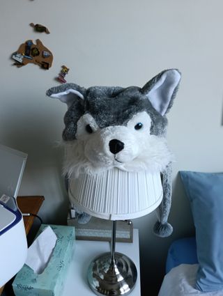 Berrettini divertenti da lupo per bambini