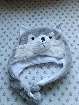 Berrettini divertenti da lupo per bambini