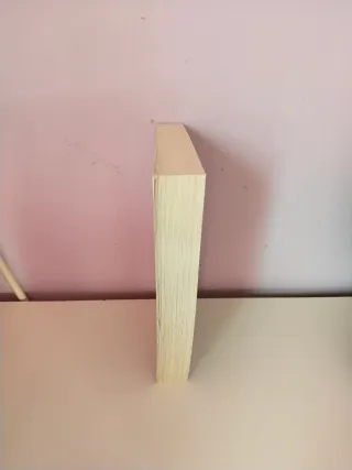 Pídeme lo que quieras (Ed. Película): La novela...