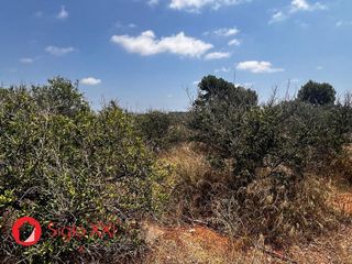 Terreno en venta en Centro en Villarreal