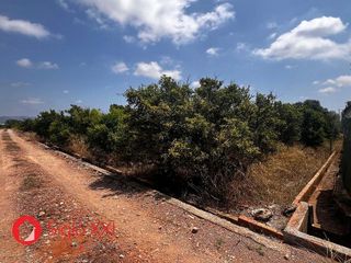 Terreno en venta en Centro en Villarreal