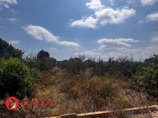 Terreno en venta en Centro en Villarreal