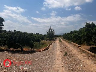 Terreno en venta en Centro en Villarreal