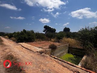 Terreno en venta en Centro en Villarreal