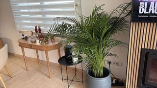 Ático en alquiler en Calahonda en Mijas