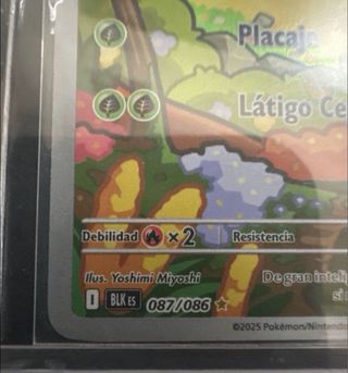 Carta Pokémon Snivy Básico 70 HP