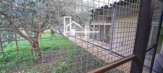 Local comercial en alquiler en Centro en Inca