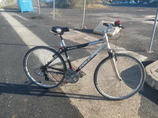 Bicicleta paseo mixta 29