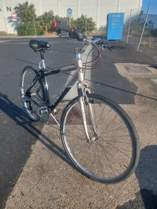 Bicicleta paseo mixta 29