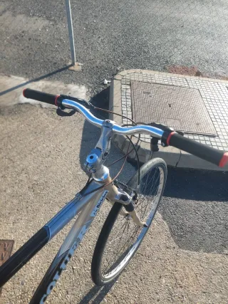 Bicicleta paseo mixta 29