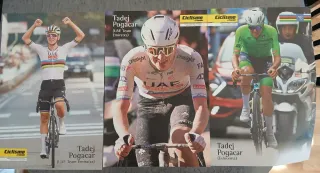 Pósters Tadej Pogacar