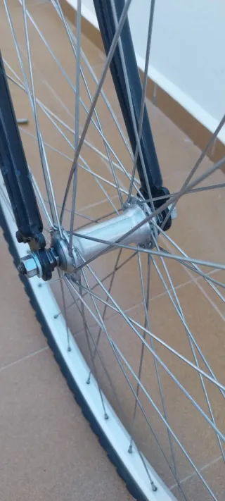 Bicicleta de paseo negra