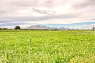 Chalet en venta en Albatera