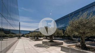 Oficina en alquiler en La Finca en Pozuelo de Alarcón