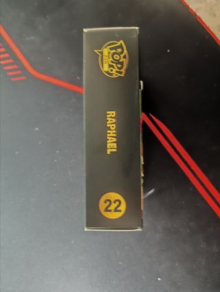 Funko Pop! Pin TMNT Raphael 22