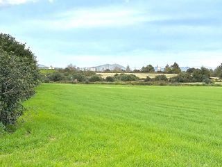 Solar en venta en Manacor Centro en Manacor