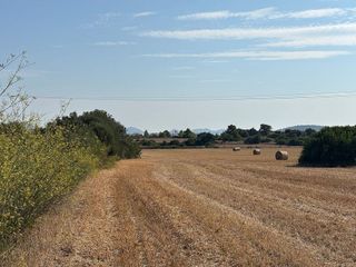 Solar en venta en Manacor Centro en Manacor