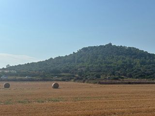 Solar en venta en Manacor Centro en Manacor