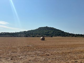 Solar en venta en Manacor Centro en Manacor