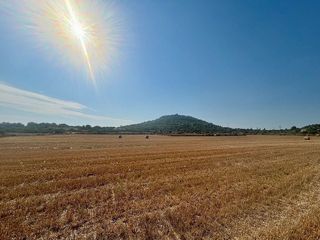 Solar en venta en Manacor Centro en Manacor