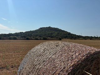 Solar en venta en Manacor Centro en Manacor