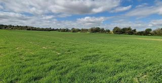 Solar en venta en Manacor Centro en Manacor