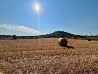 Solar en venta en Manacor Centro en Manacor