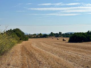 Solar en venta en Manacor Centro en Manacor