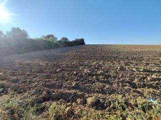 Casa rural en venta en Arcos de la Frontera