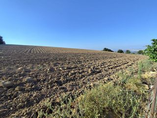 Casa rural en venta en Arcos de la Frontera