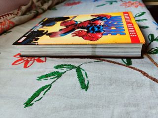 Masacre. Marvel Héroes. Joe kelly. Panini