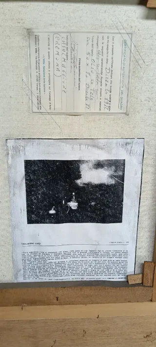 Olio su tela firmato Tagliarini Luigi natura morta